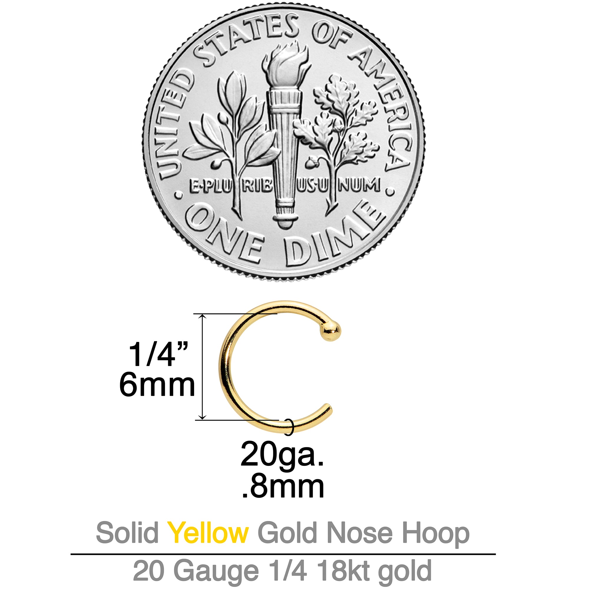 20 Gauge 1/4 18k Yellow Gold Nose Hoop