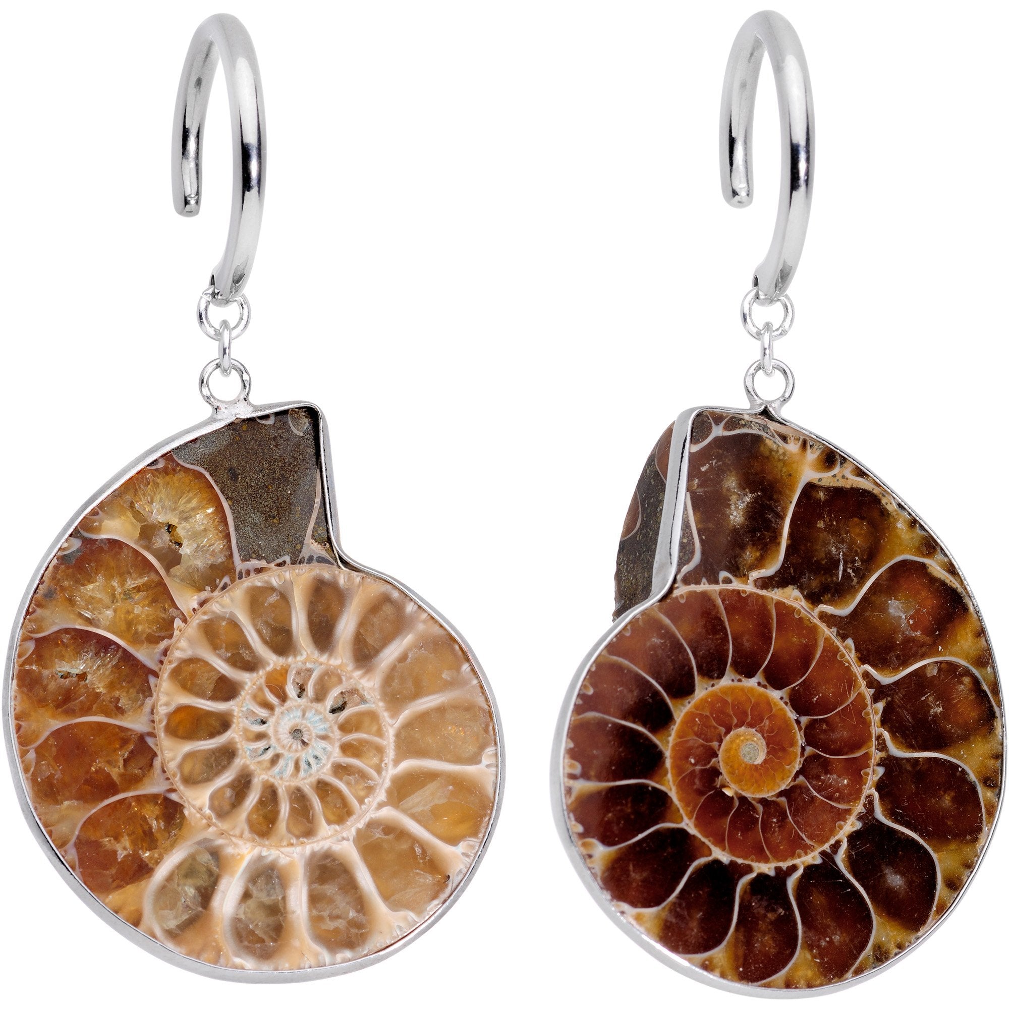 Handcrafted Spiral Ammonite Sea Fossil Ear Weights