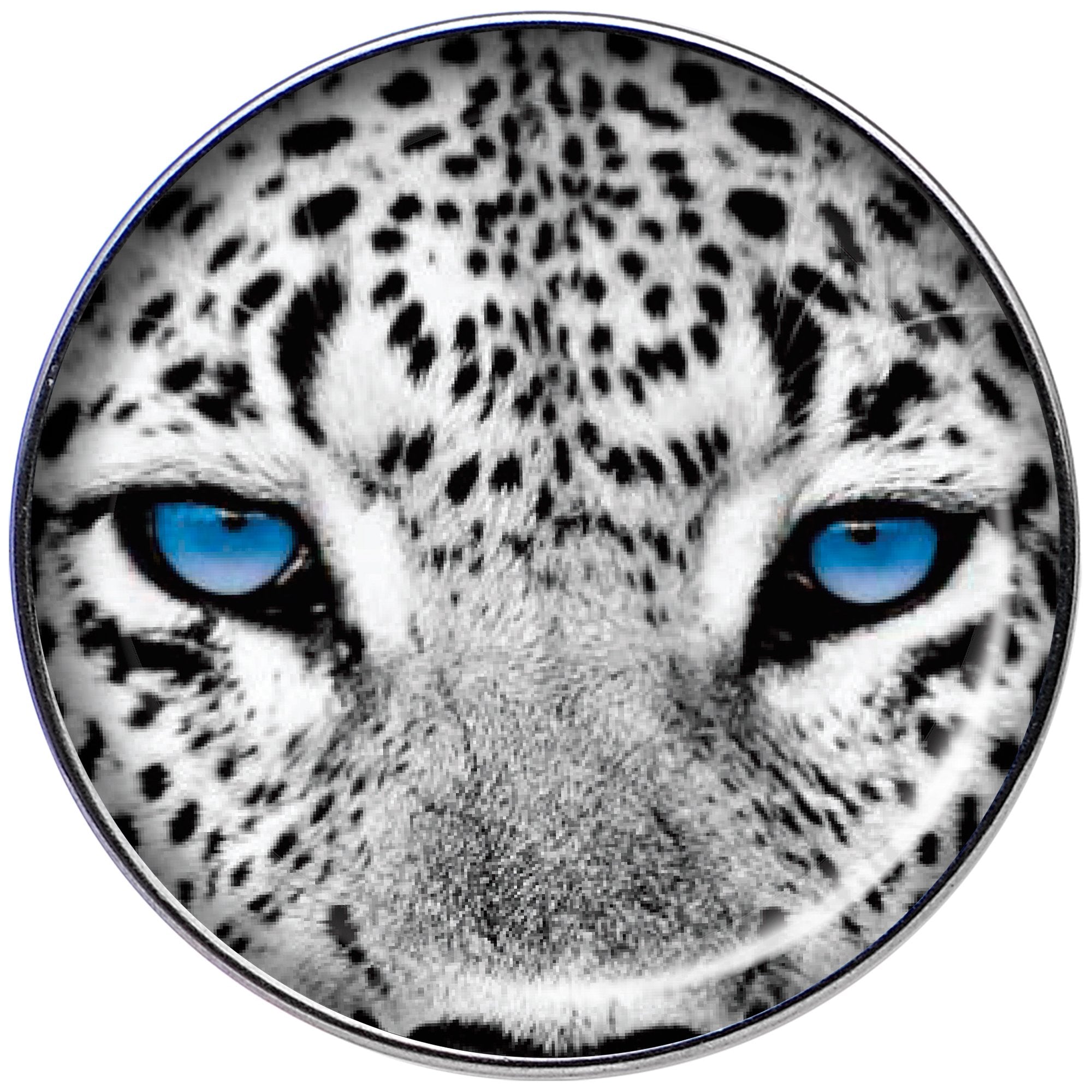 16G 1/4 Black White Leopard Eyes Tragus Cartilage Earring