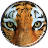 Full Color Tiger Eyes Barbell Tongue Ring