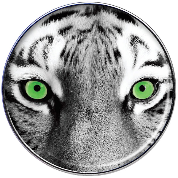 16 Gauge 1/4 Black White Tiger Eyes Tragus Cartilage Earring